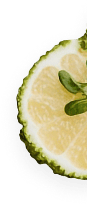Lemeon shape right img – AmorCooking