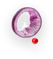 Salet img – AmorCooking