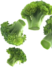 green broccoli levitating (1) - Amor Cooking