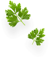 green leafs img – AmorCooking