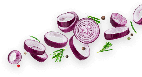 onion salet img – AmorCooking